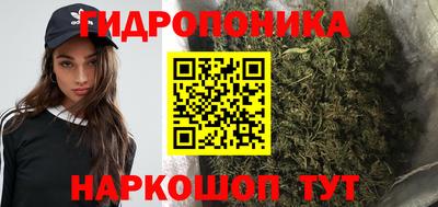 СК Пугачёв