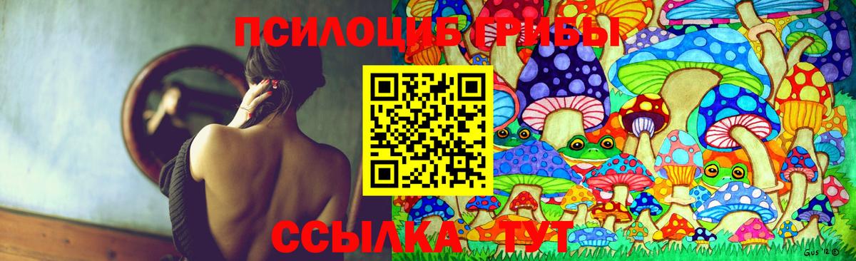цена наркотик  Вход с VPN  Рубцовск  Псилоцибиновые грибы Psilocybine cubensis 